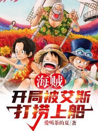 Pirates: Salvaged by Ace at the beginning